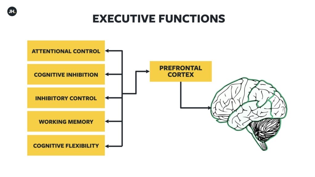 Cognitive performance improvement